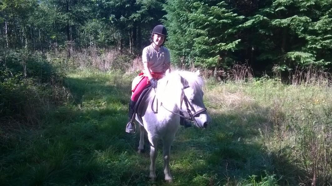 Islænder Dragon - når vi er på tur i skoven. billede 1