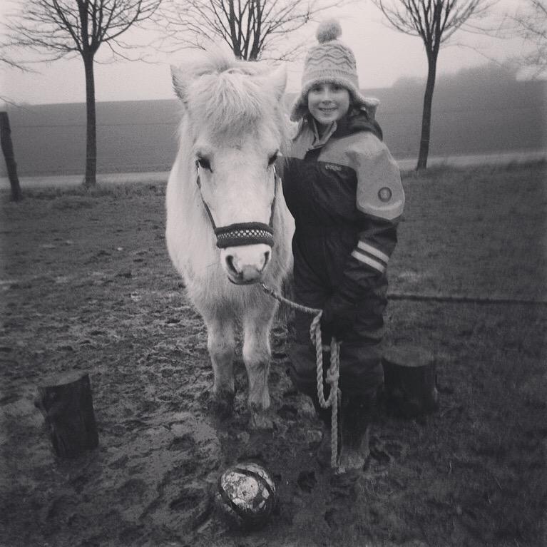 Islænder Dragon - når vi hygger på folden med en omgang heste fodbold billede 9