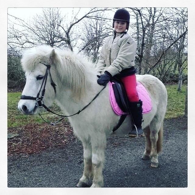 Islænder Dragon billede 7