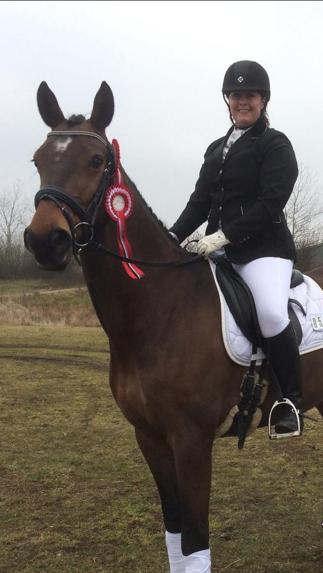 Dansk Varmblod Nora H - Marts 2016 billede 12