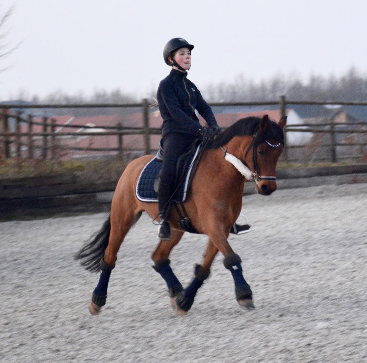 Anden særlig race Steven Seagal (Baby Drengen) - Den bette baby i form igen! billede 16