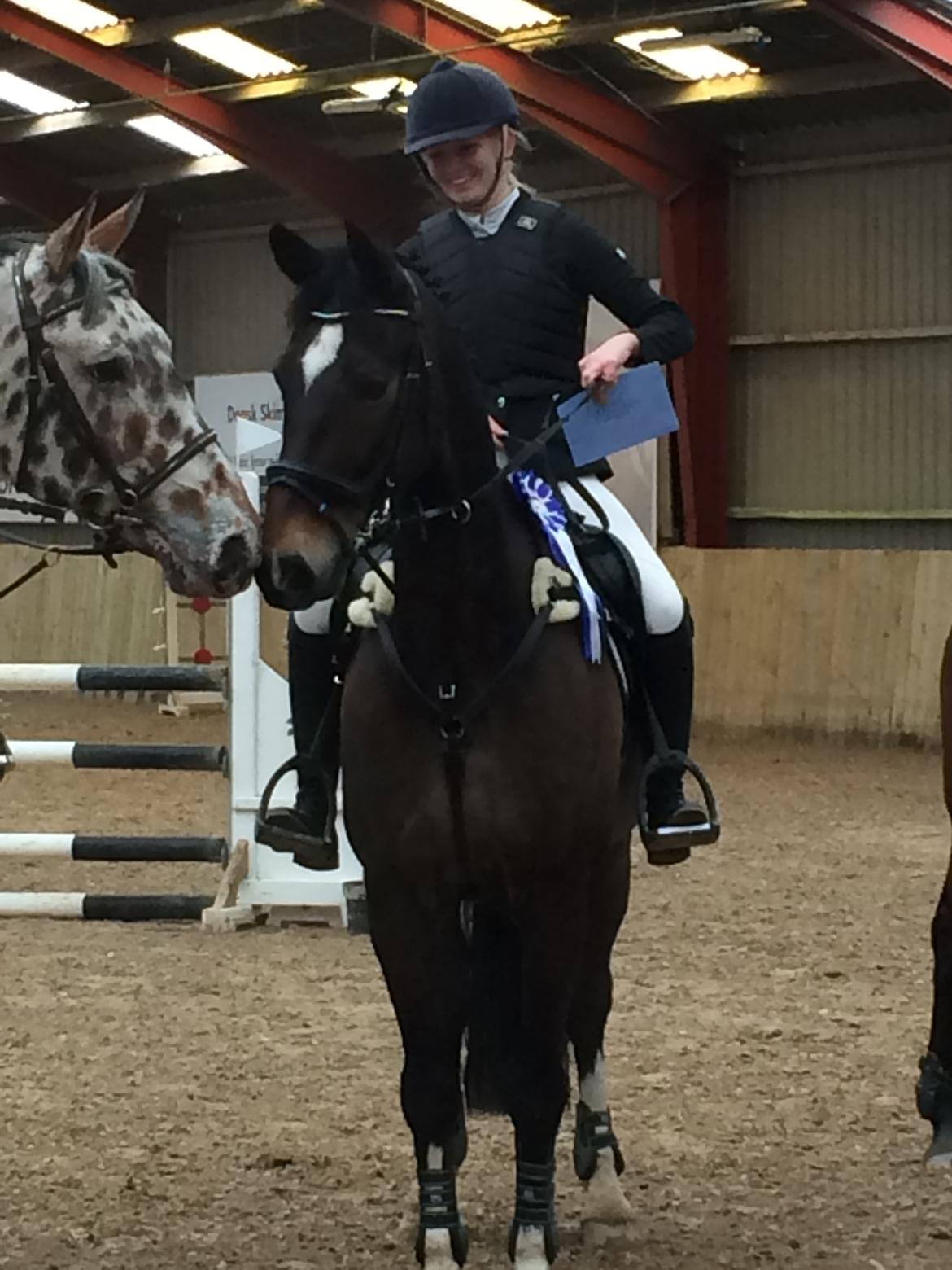 Hollandsk Varmblod Wilddancer - Første stævne 13-03-2016 billede 3