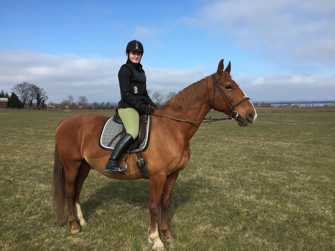 Frederiksborg Mercur Lindegård -  13-03-2016 billede 1