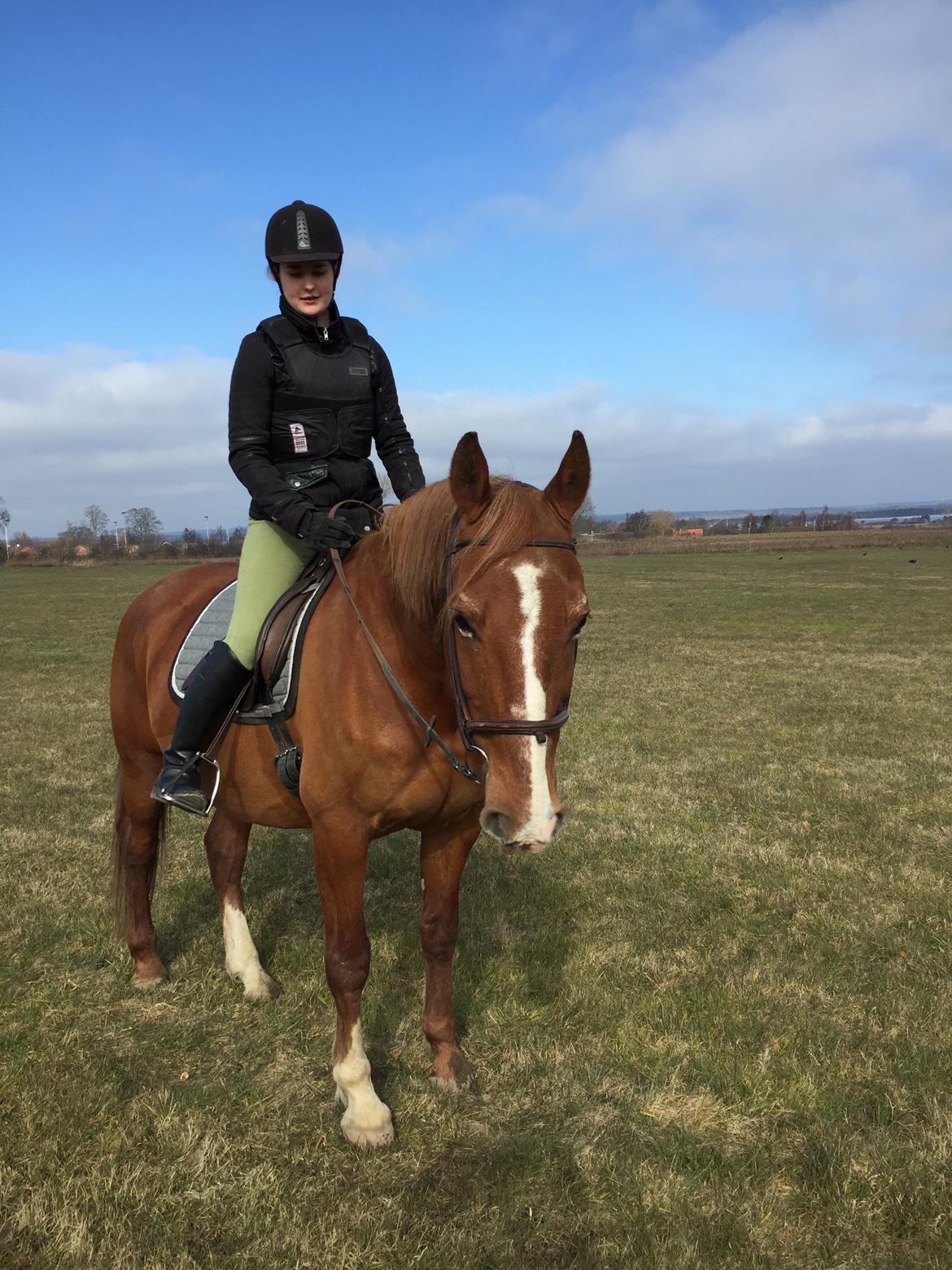 Frederiksborg Mercur Lindegård - 13-03-2016 billede 14