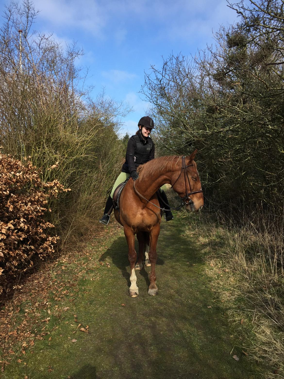 Frederiksborg Mercur Lindegård - 13-03-2016 billede 8