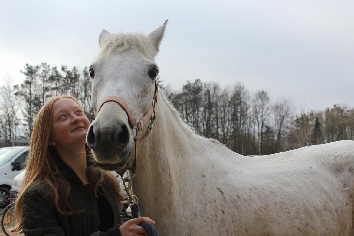 Anden særlig race Justice billede 5