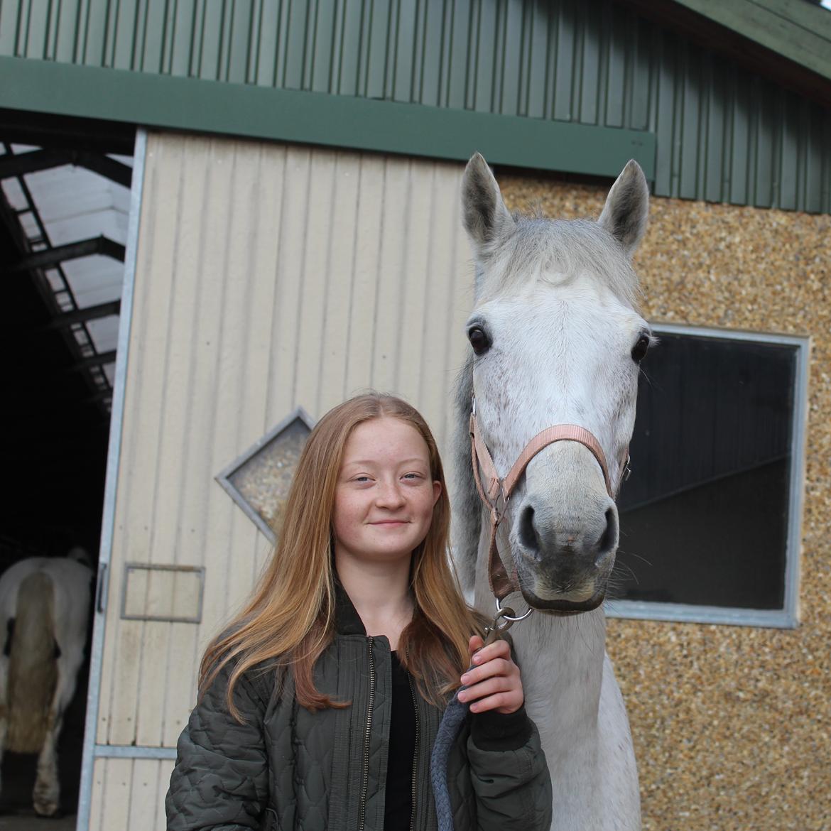 Anden særlig race Justice billede 8