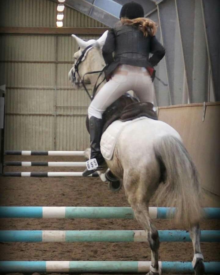 Anden særlig race Justice - Foto: Kamilla Søndergaard billede 9