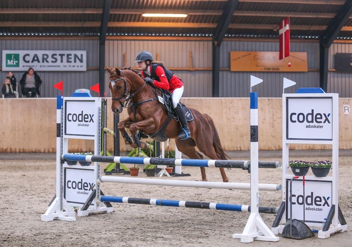 Anden særlig race Top  murdoch billede 1