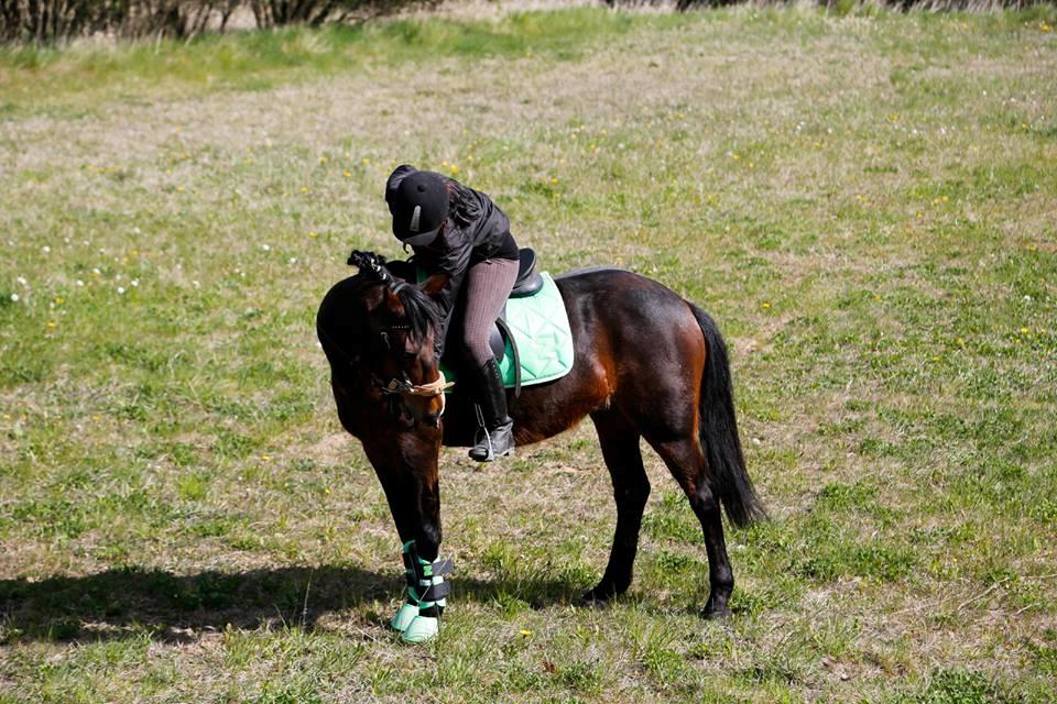 Anden særlig race Trine - Taget af Ørgaard-Foto. billede 29