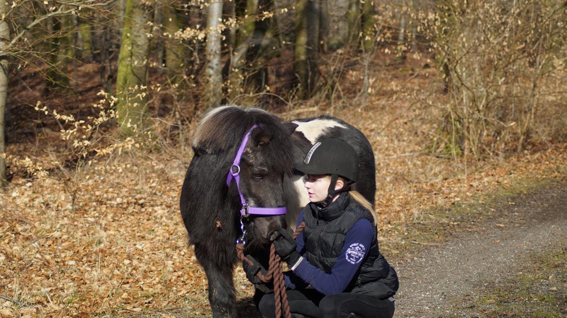 Anden særlig race Charlie billede 1