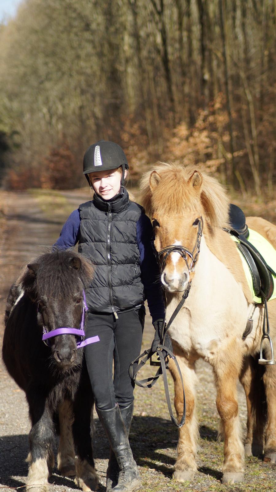 Anden særlig race Charlie billede 14