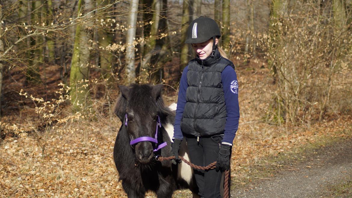 Anden særlig race Charlie billede 4