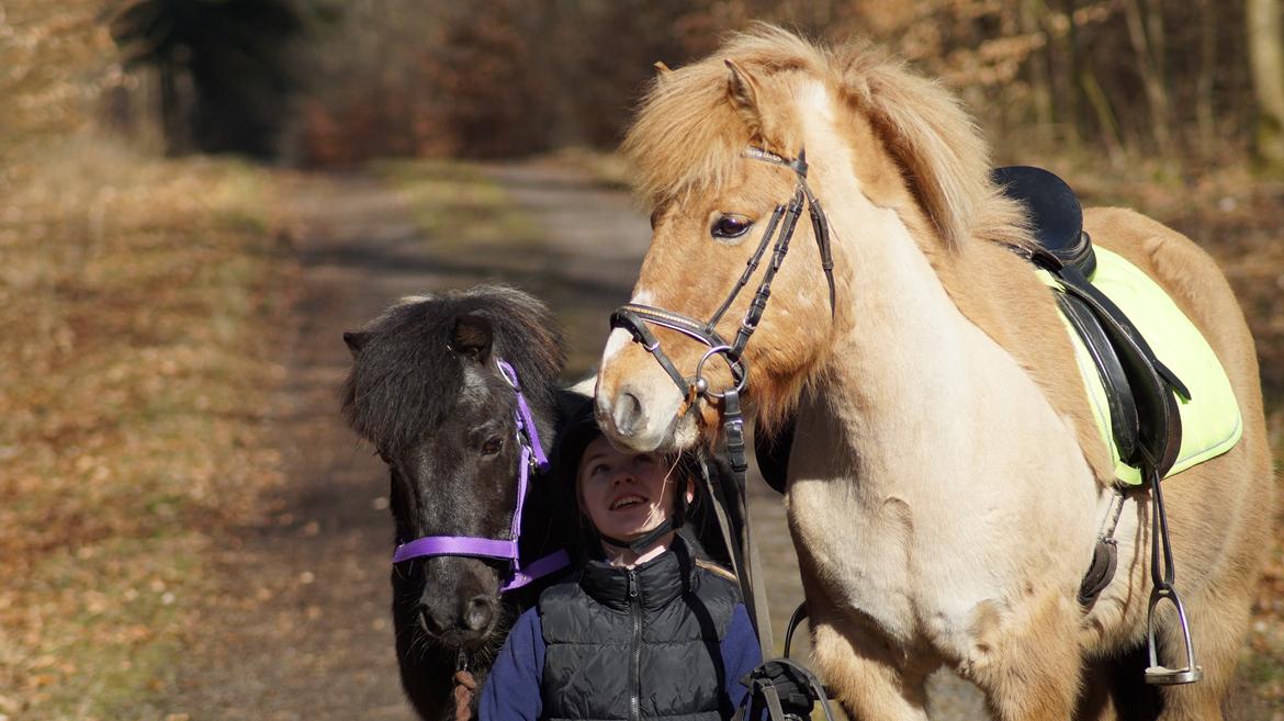 Anden særlig race Frederik billede 8