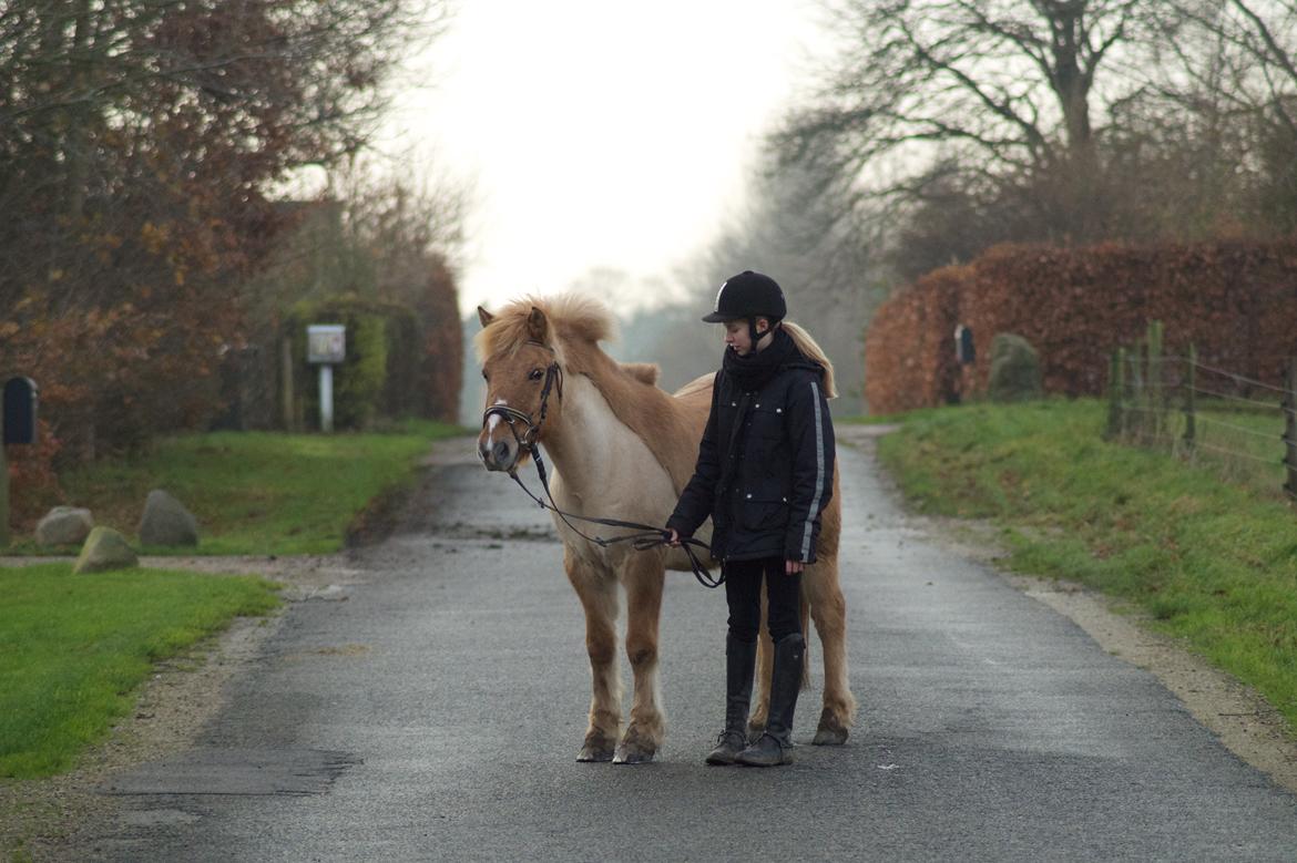 Anden særlig race Frederik billede 6