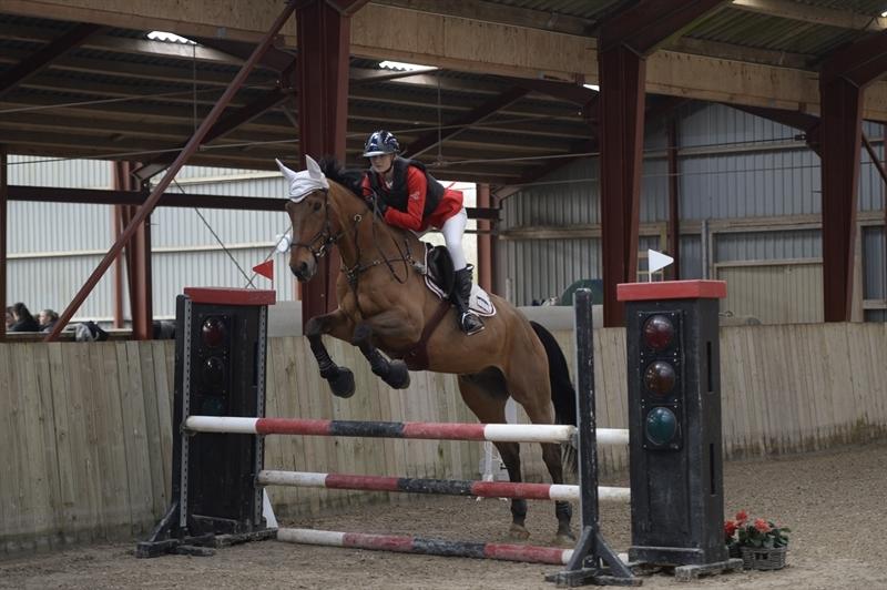 Dansk Varmblod Nevell billede 2