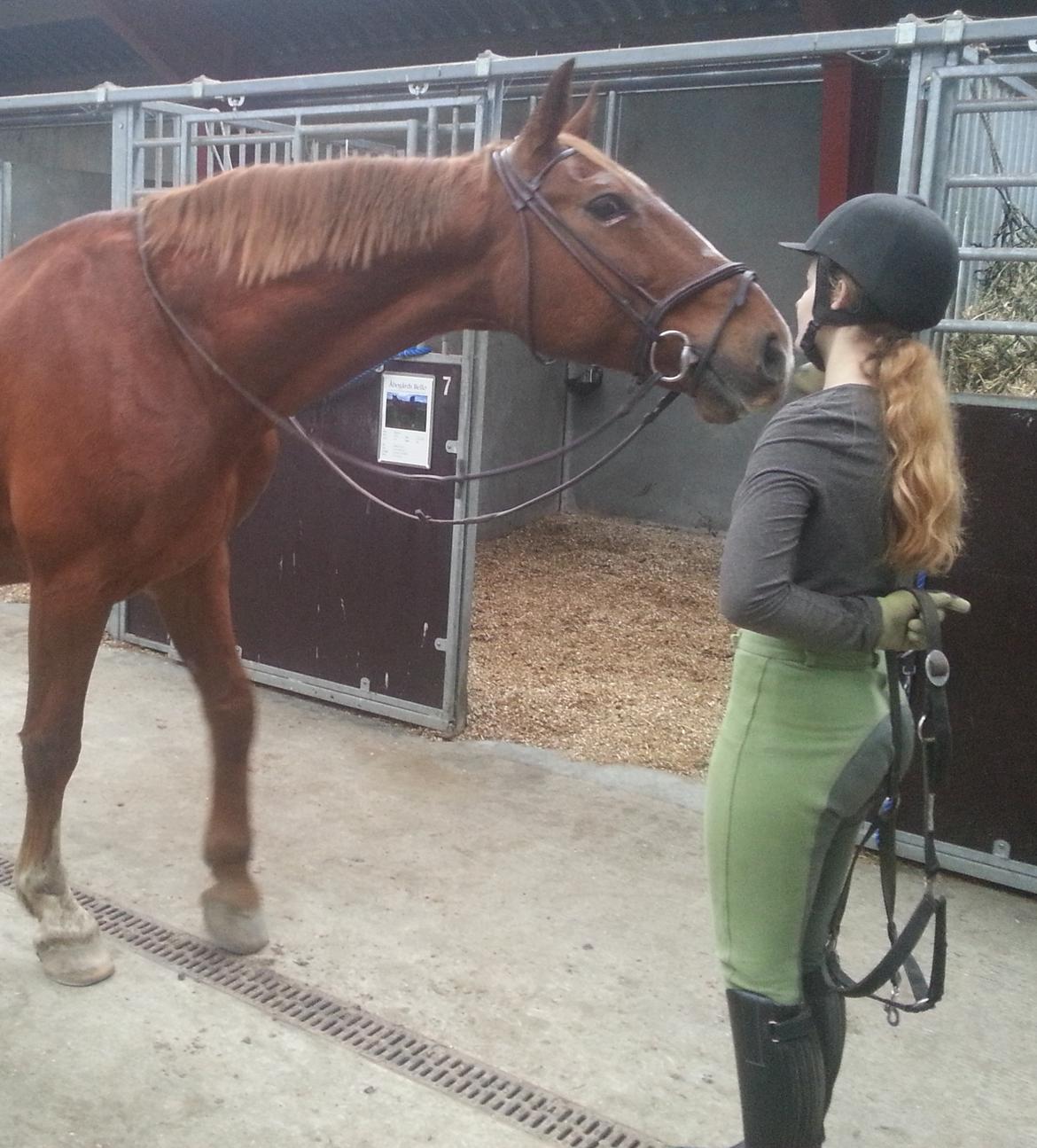 Frederiksborg Mercur Lindegård billede 9