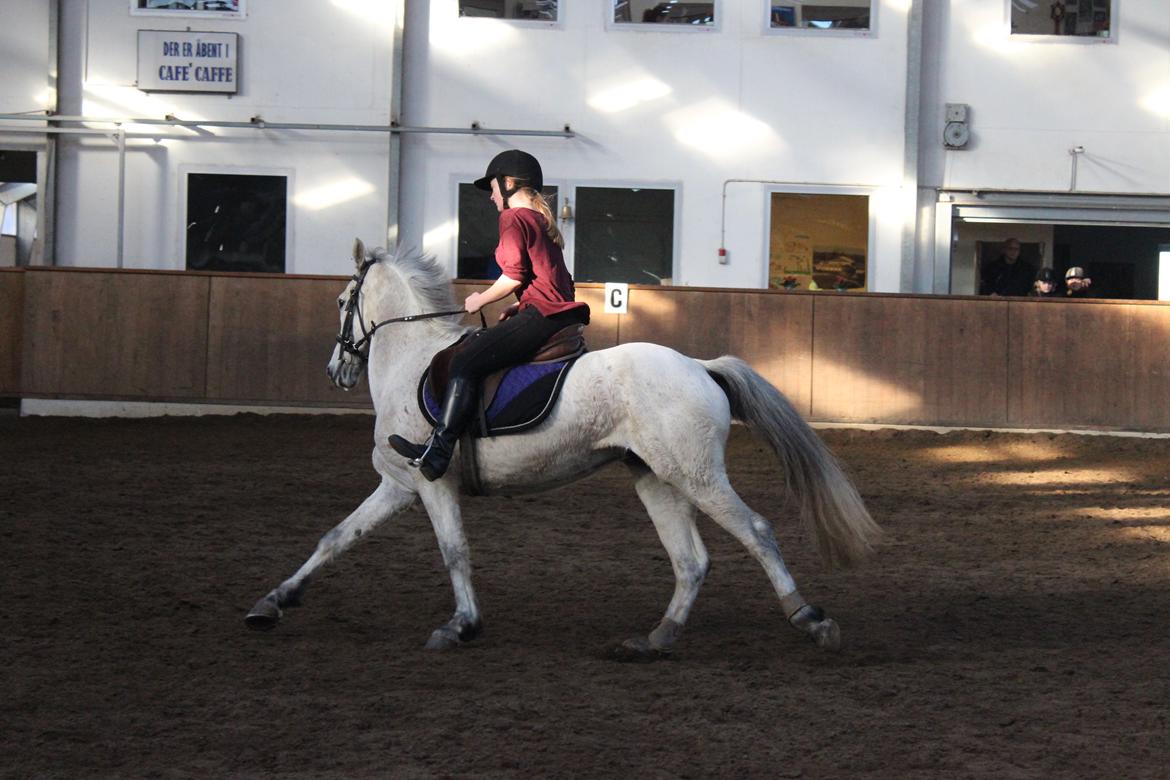 Anden særlig race Justice billede 13