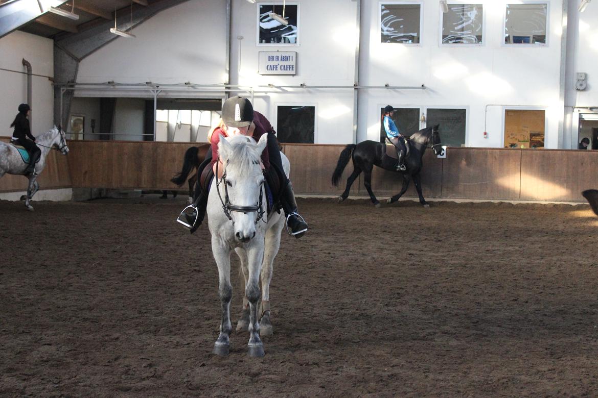 Anden særlig race Justice billede 14