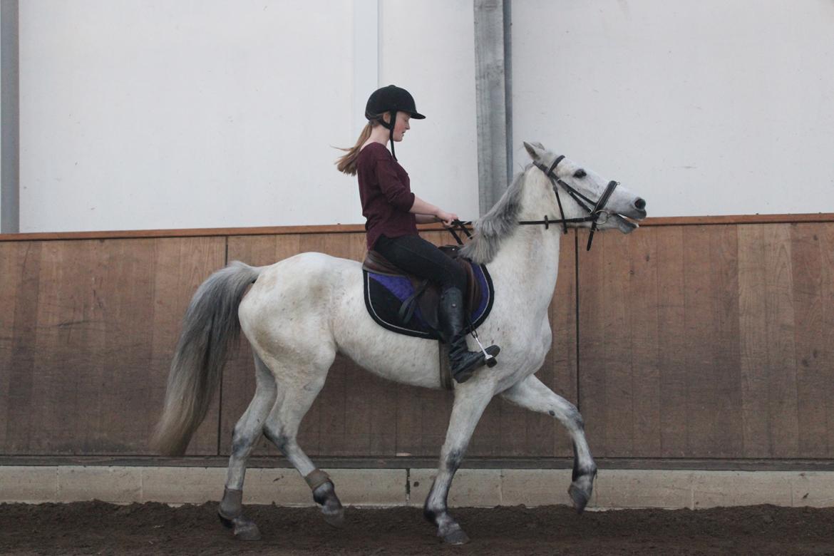 Anden særlig race Justice billede 15