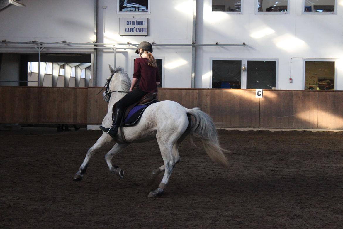 Anden særlig race Justice billede 16