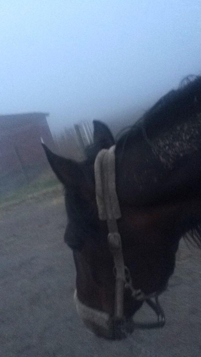 Traver Leroy Hall billede 31