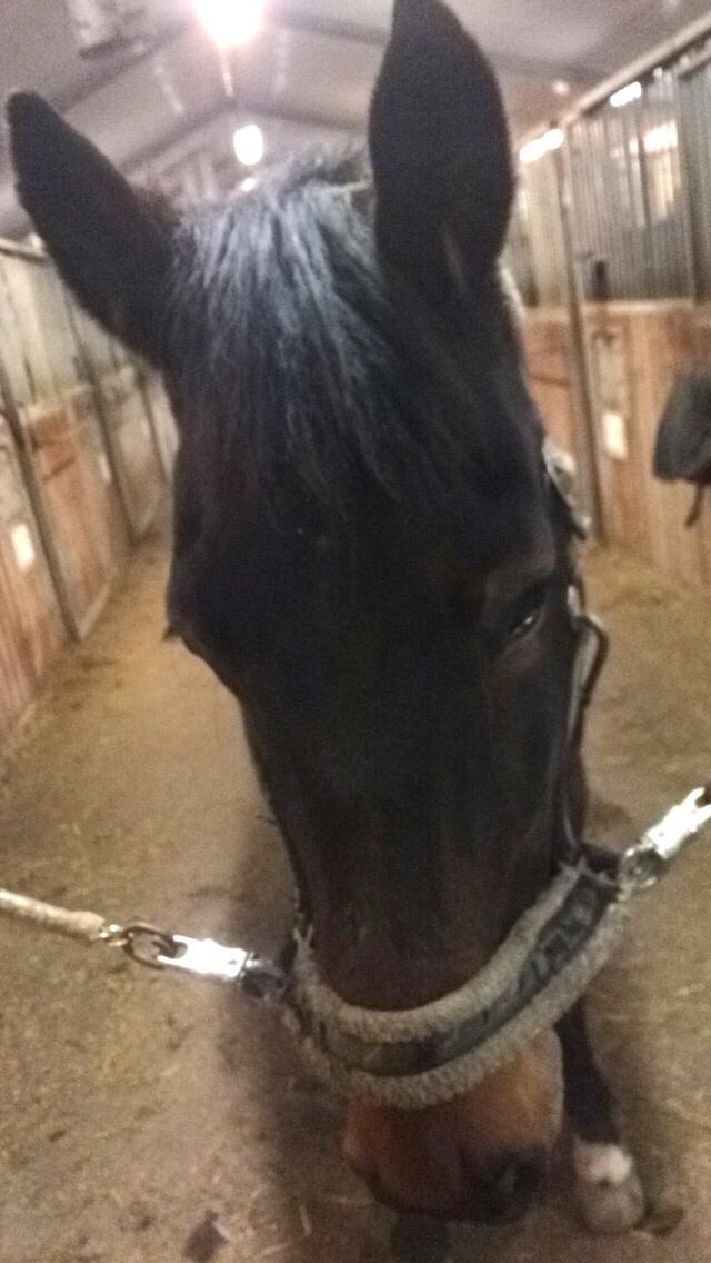 Traver Leroy Hall billede 33