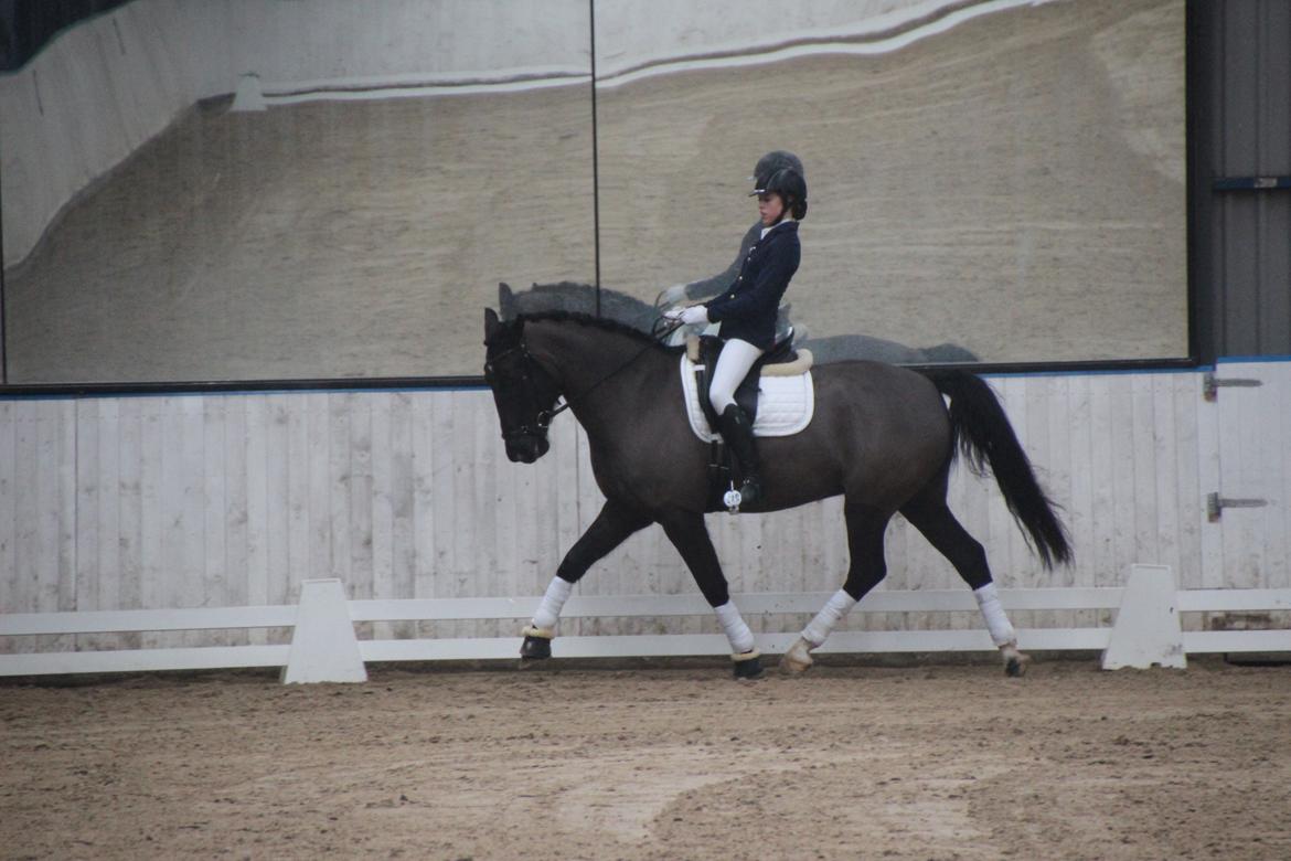 Oldenborg Fillip - Stævne i Skjernl billede 16