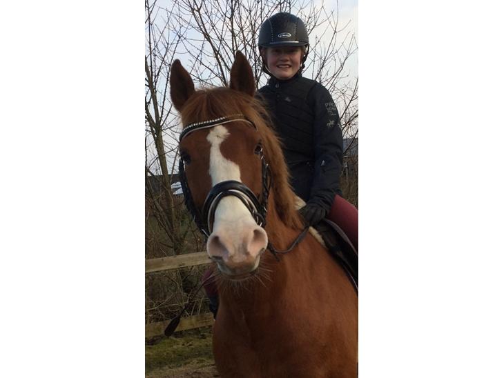 {{currentPhoto.altText}} billede {{currentPhoto.number}}