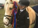 Palomino Asterix