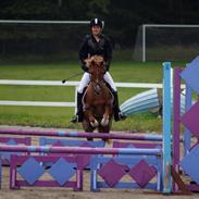 Anden særlig race Red star {Himmelhest} <3