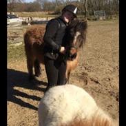 Anden særlig race Buller! :)