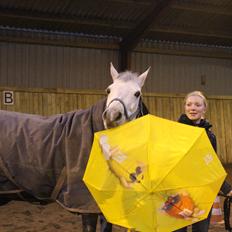 Connemara Mosegårdens Mascha 