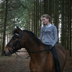 Anden særlig race Shja-shje