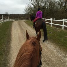 Frederiksborg Felix landlyst "aflivet"