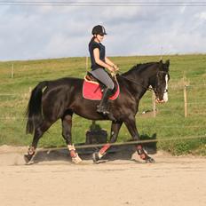 Anden særlig race Exquisit Quest - aka. Saga