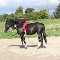 Anden særlig race Exquisit Quest - aka. Saga