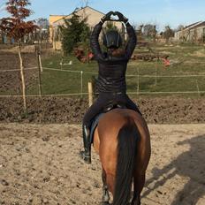 Anden særlig race Markes (pony)