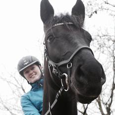 Knabstrupper Solhøj's Samcro