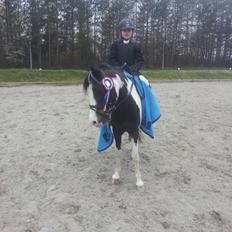 Pinto Svalegårdens Alberte