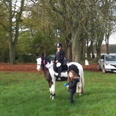 Pinto Svalegårdens Alberte