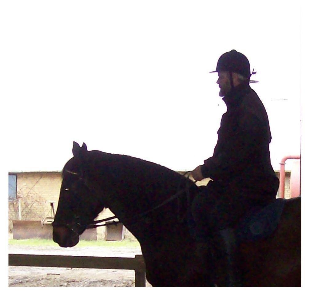 Anden særlig race Basse - Rexi skal hjælpe min mand i ridning,så Briza kan komme videre. billede 8