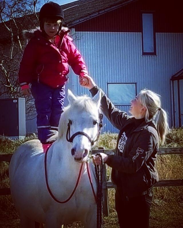 Welsh Pony (sec B) SKOVBJERGS BLAI billede 17