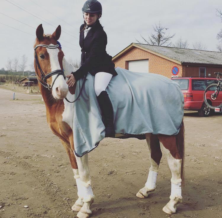 Pinto Amazing Apache billede 16