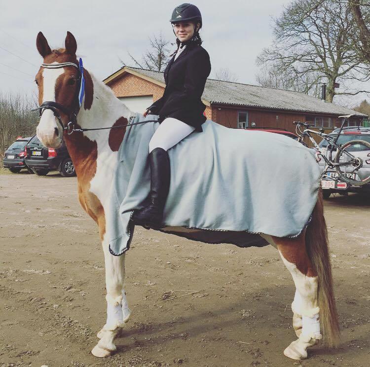 Pinto Amazing Apache billede 18