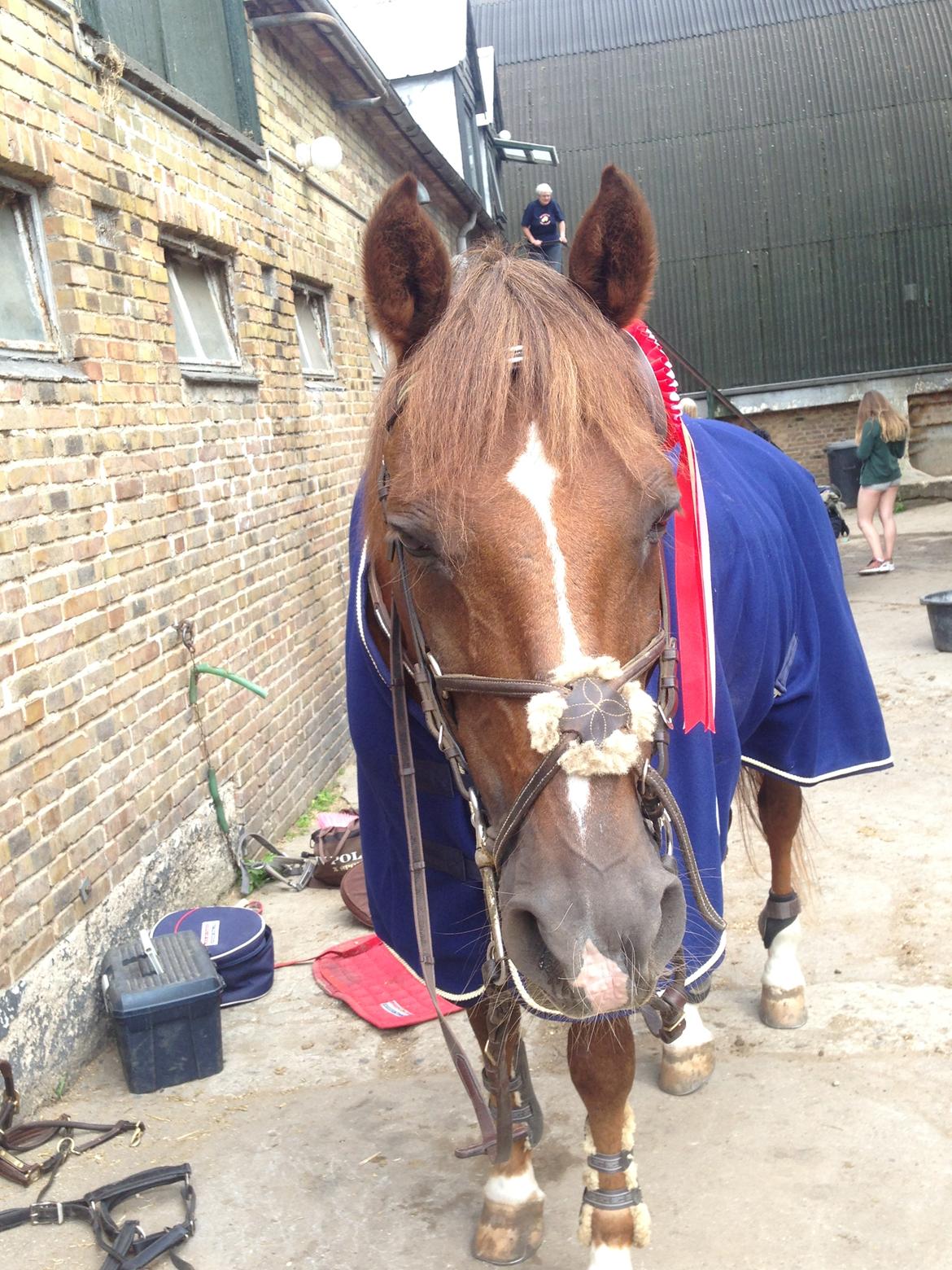 DSP Flying dutchmann  billede 11