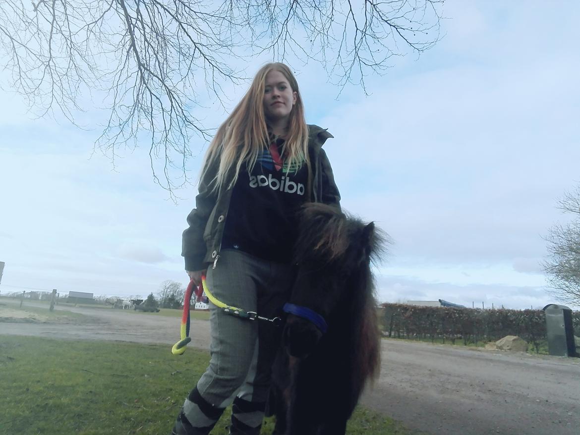 Anden særlig race Kloster's Diamond Aika billede 4