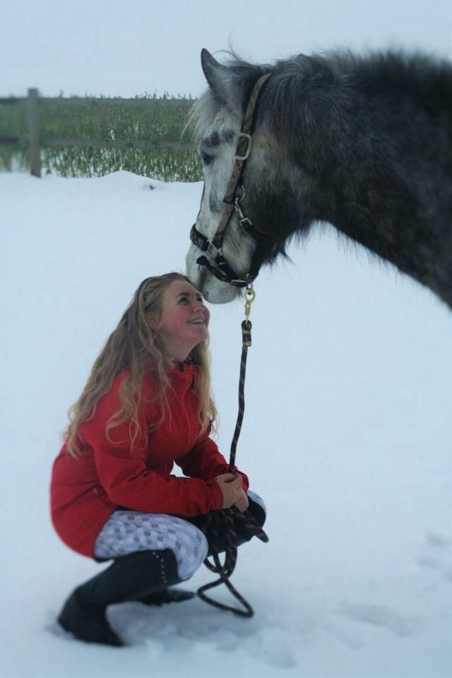 Anden særlig race Lukas - Tidligere rideskolepart billede 8