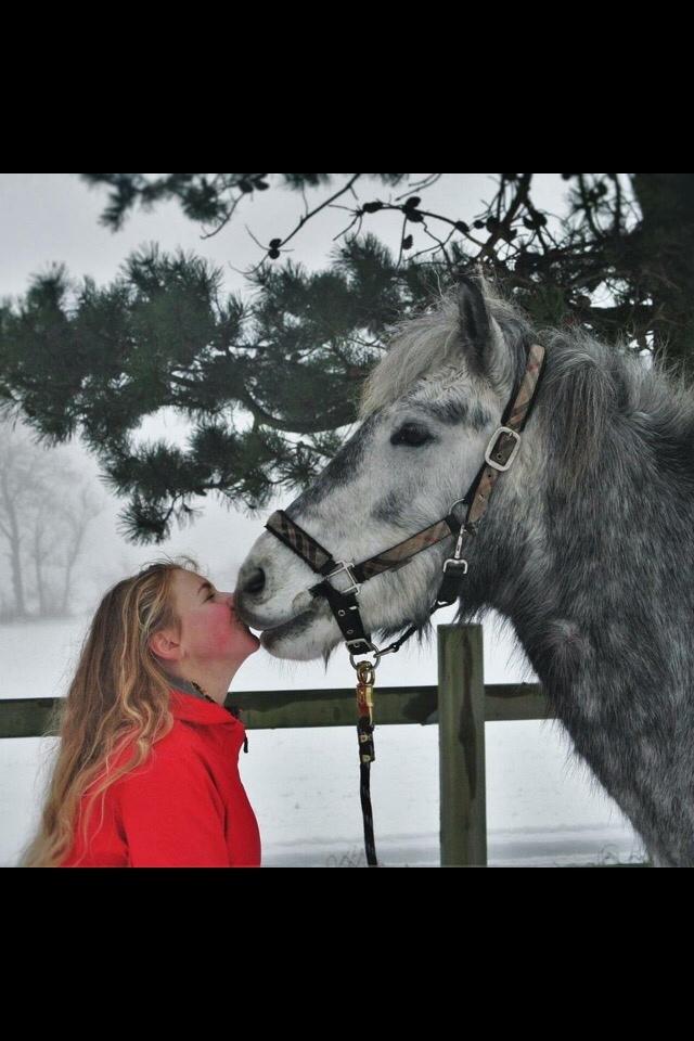 Anden særlig race Lukas - Tidligere rideskolepart billede 10