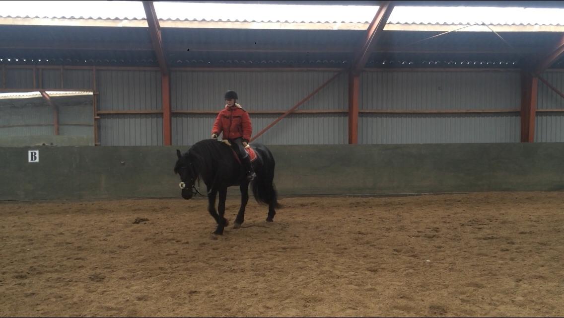 Frieser Lobke Fan It Jaachpaad billede 14